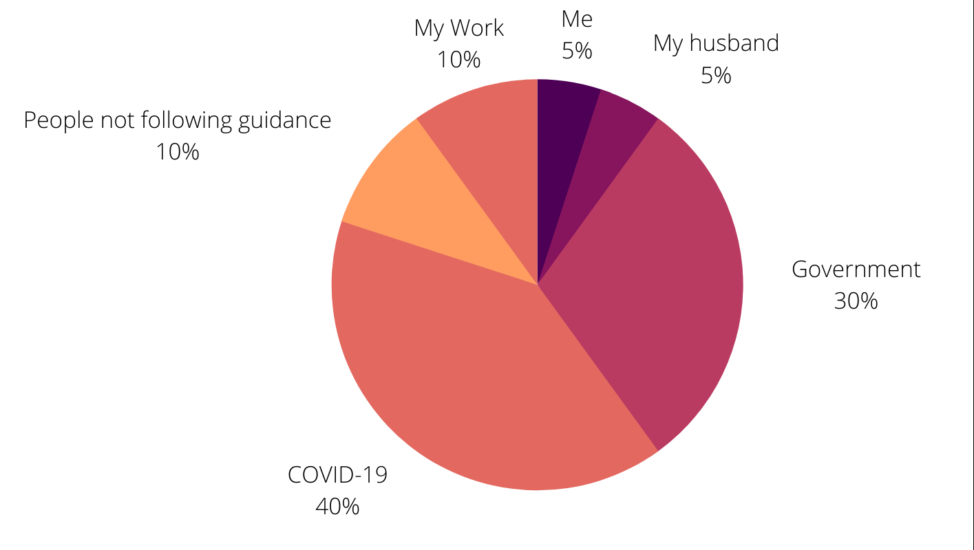 pie chart of my responsibilities: me 5 percent, my husband 5 percent, governtment 30 percent, covid-19 40 percent, people not following guidance 10 percent, my work 10 percent.