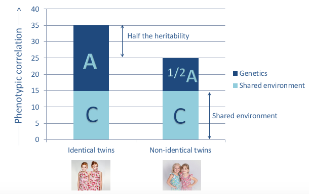 h-is-for-heritability-the-edit-blog