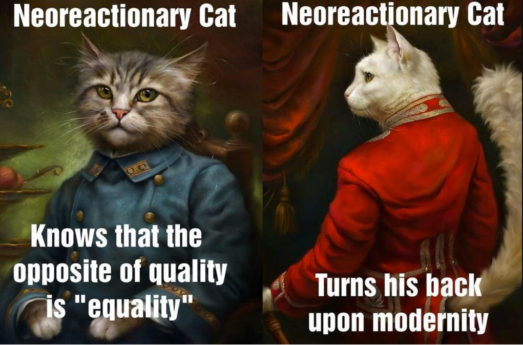 The Neoreactionary Cat memes © https://theflemishfrontier.tumblr.com/post/115125305476/oh-neoreactionary-cat-3