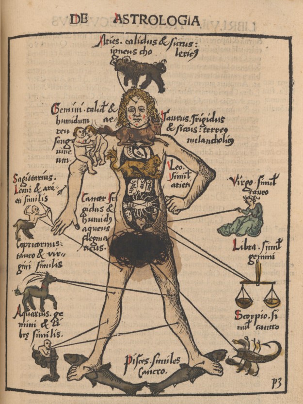 A zodiac man diagram, outlining the association between the zodiac signs and parts of the human body.