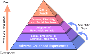 Pyramid with conception at the base and death at the apex. Base is adverse childhood experiences; second level is social, emotional and cognitive impairment; third level is adoption of health risk behaviours; fourth level is disease, disability and social problems and at the apex is early death. Scientific gaps affect the bottom three levels.