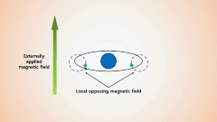effective magnetic field