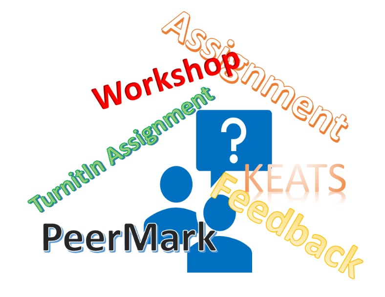 PeerMark Header