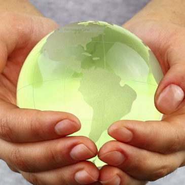 hands holding a green earth