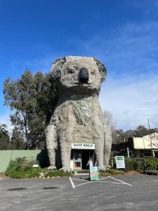 Giant Koala statue