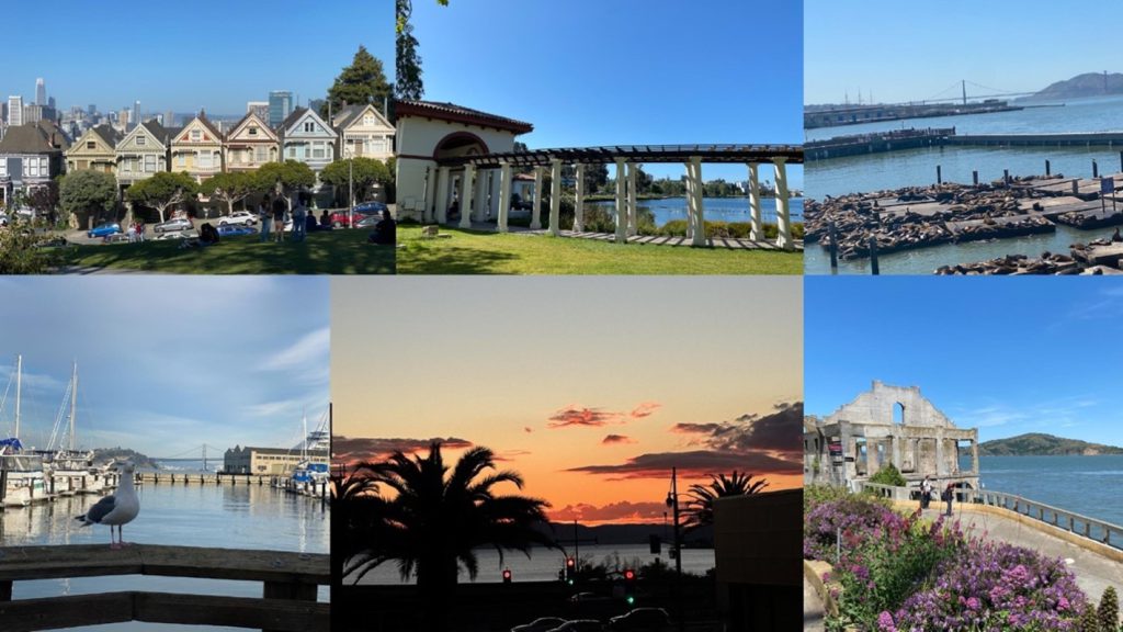 a collage of photos from San Francisco: a row of houses, a picture over the water, a picture over the bay filled with sea lions, a seagull, a seaside sunset with palm trees, and another coastal view 