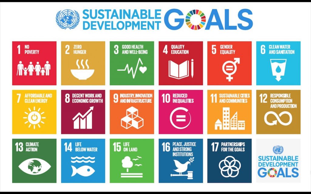 Sustainable development goals essay pdf image