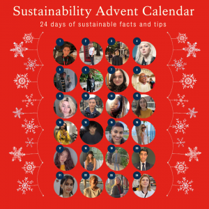 Graphic with the title "Sustainability advent calendar. 24 days of sustainable facts and tips". Showing 24 dates with pictures of individuals.