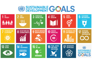 SDG-Poster